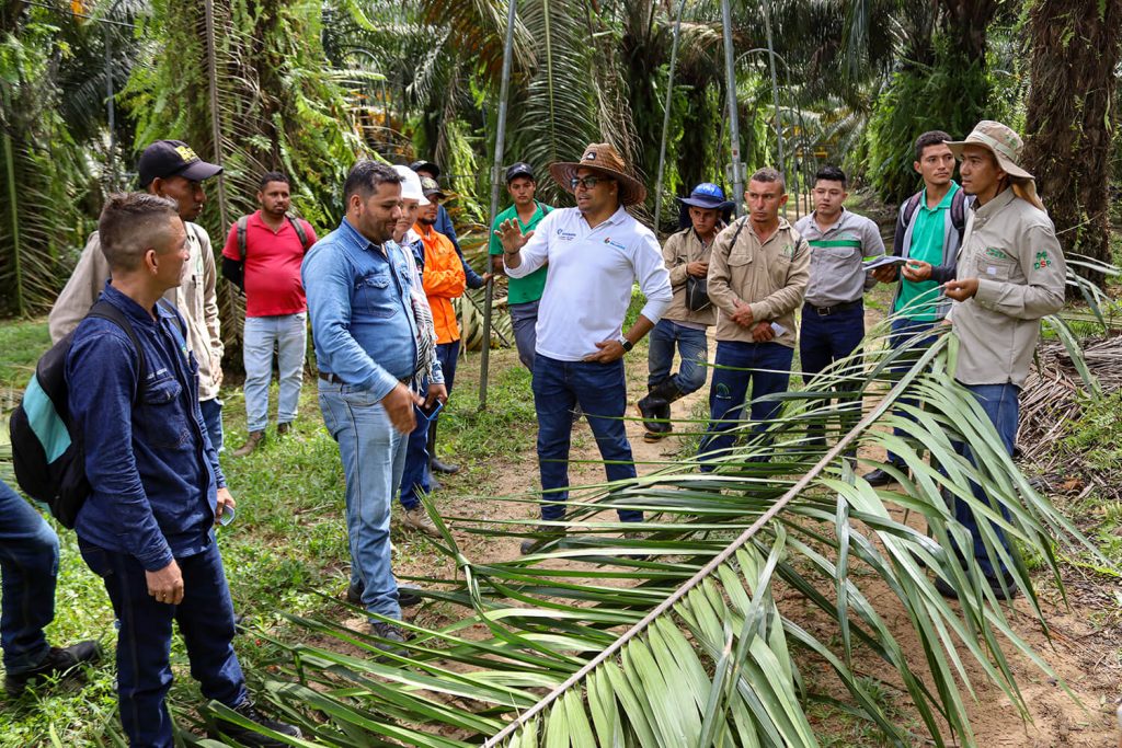 Capacitación plagas DSP