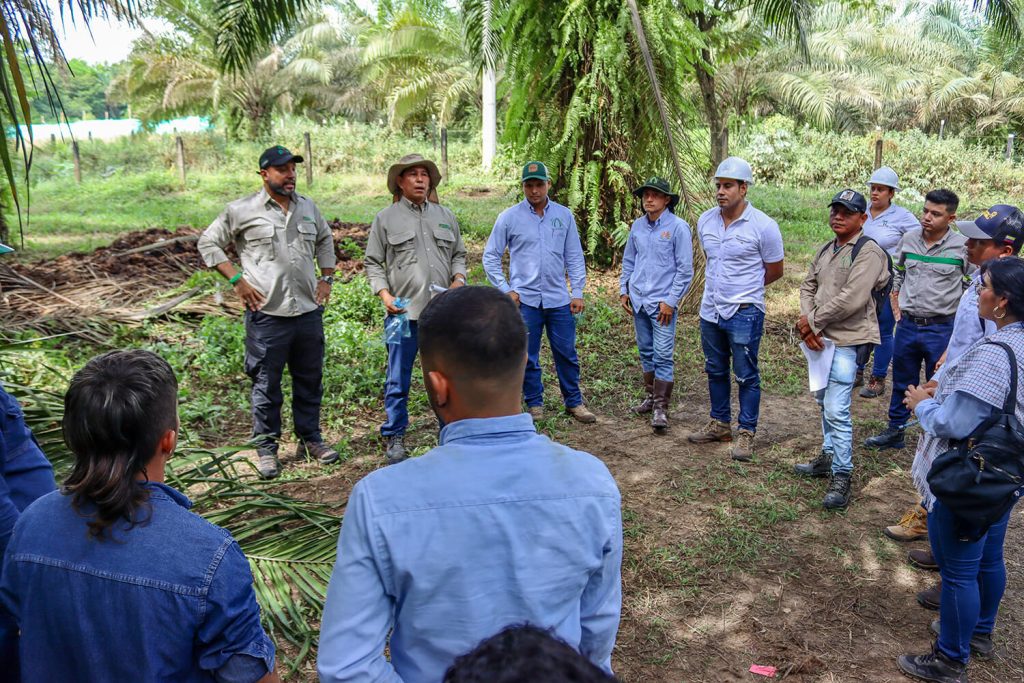 Capacitación plagas DSP