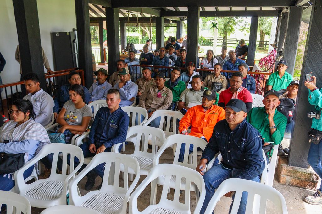 Capacitación plagas DSP