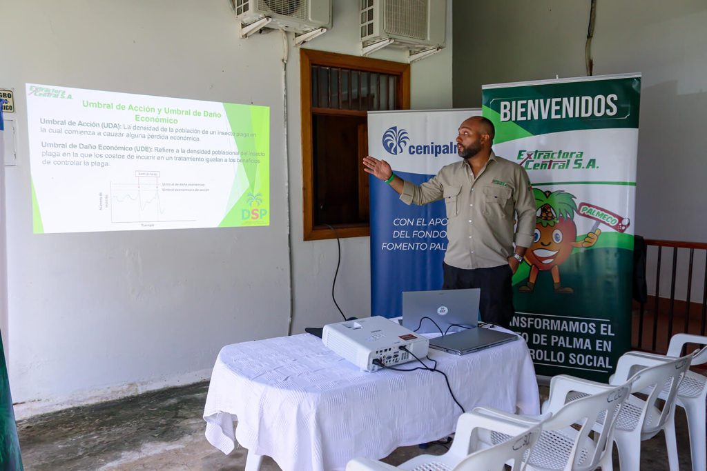 Capacitación plagas DSP