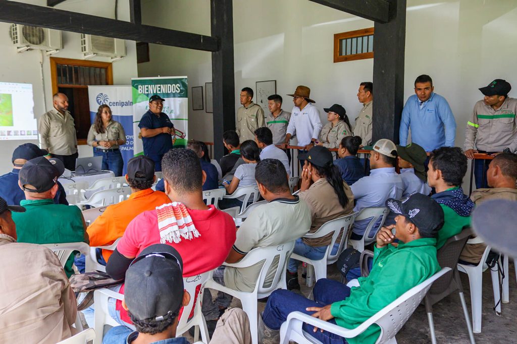 Capacitación plagas DSP