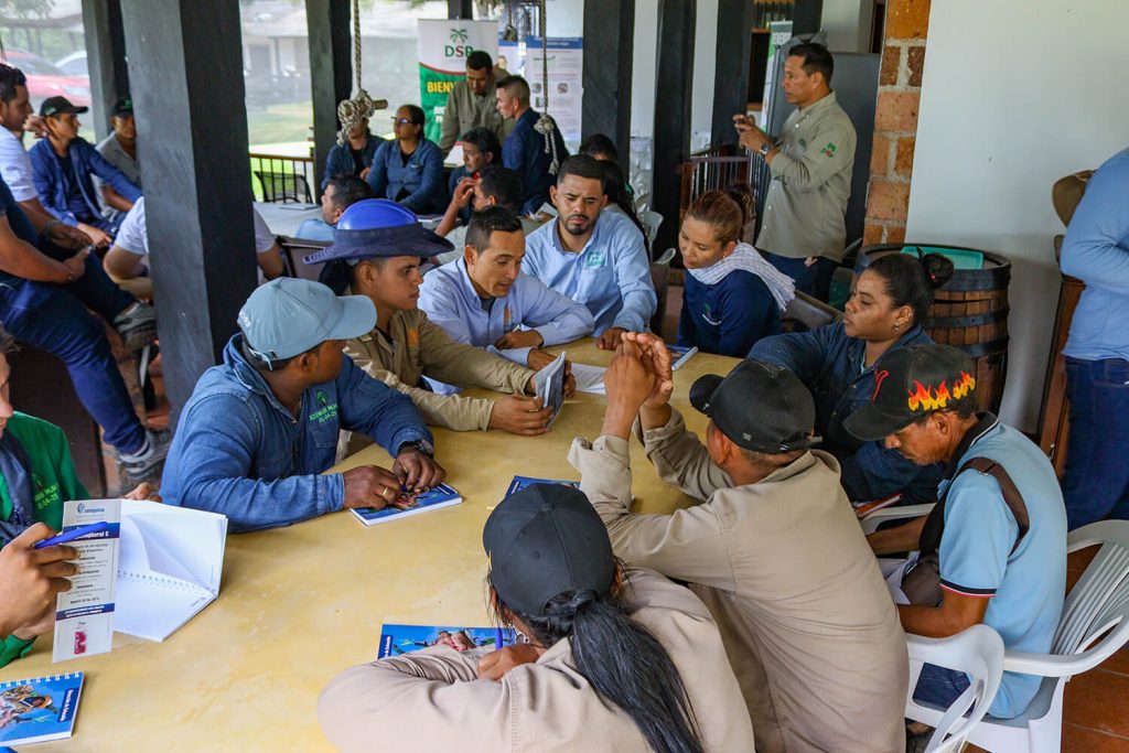 Capacitación plagas DSP